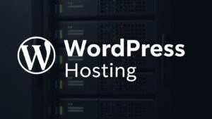 WordPress hosting nedir sorusunu anlatan yüksek performanslı ve optimize edilmiş sunucu motoru görseli