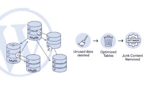 WordPress veritabanı temizleme ve optimizasyonunu gösteren teknik illüstrasyon.